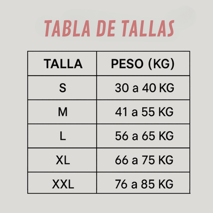 Nuevo Corrector de Postura 3.0 Ajustable + Espaldar Lumbar de Regalo - ¡Solo por hoy!